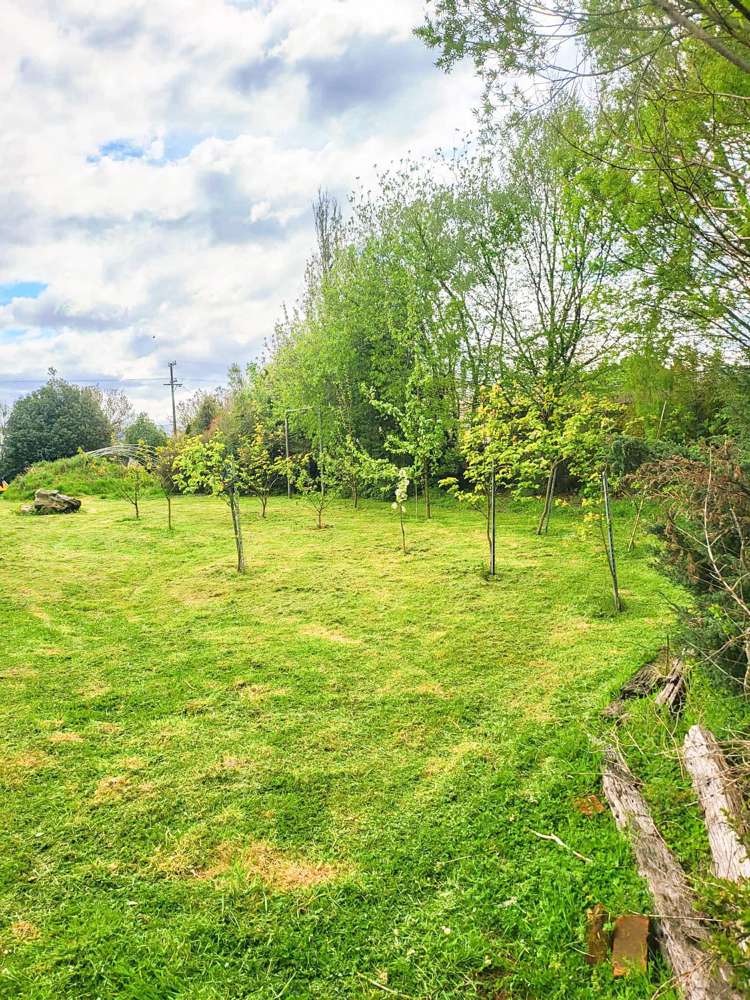 103 Birchwood Road Ohai_7