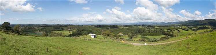 80d Mcmillan Road Hauraki Surrounds_18