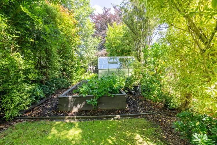 186 Terrace Street Rosedale_25