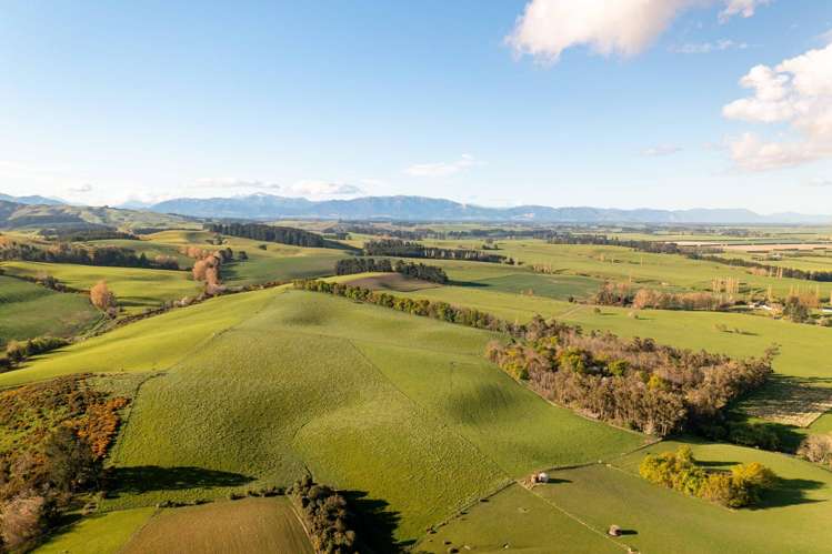 Rowallan Road Darfield_16