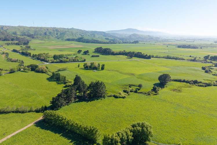 829 Ballance Valley Road Pahiatua_5