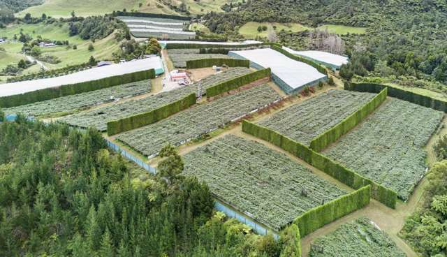 36B Demeter Road Te Puke_3