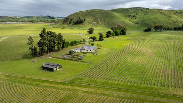 Cottingham Estate: a vineyard oasis and investment