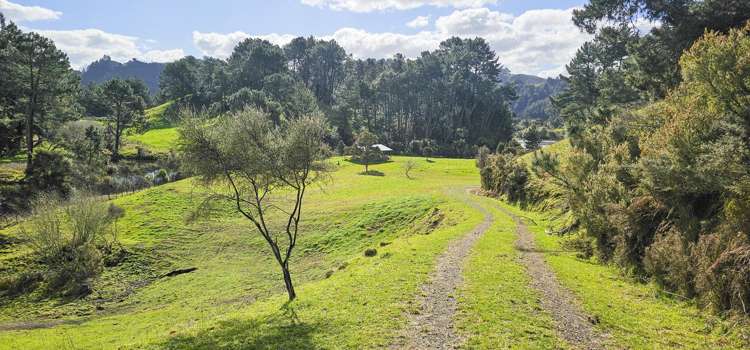 294b Dods Road Waikite Valley_3