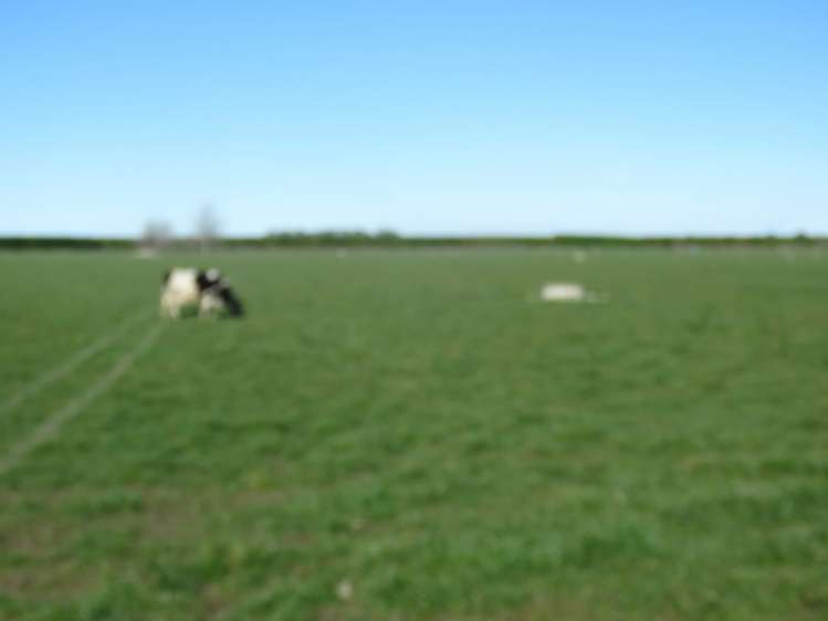 758 Hackthorne Road Mayfield_18