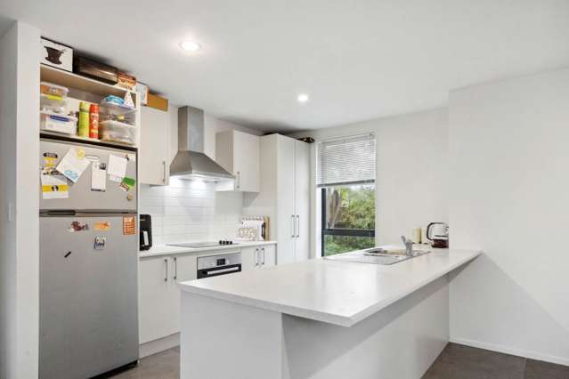 119a Lynwood Road New Lynn_4