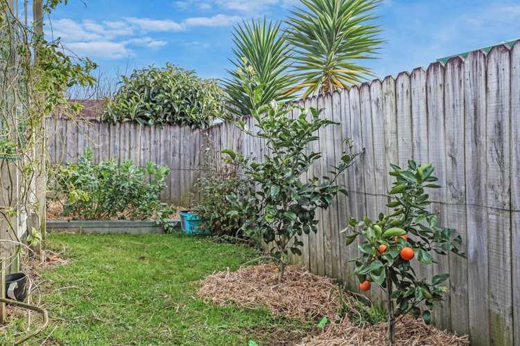 52 Elizabeth Street Tuakau_17