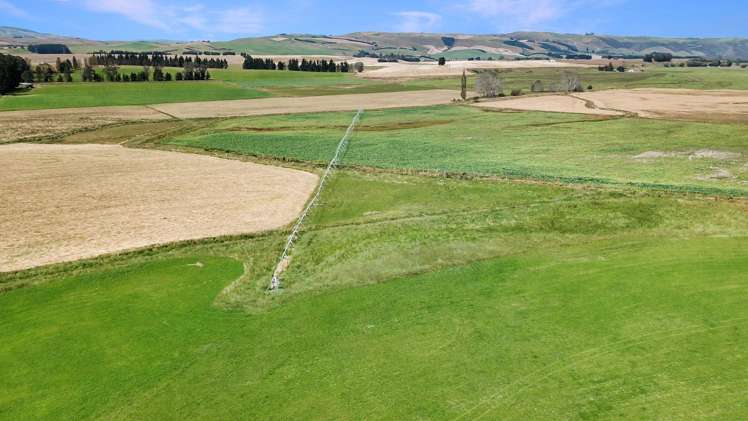 311 Hamilton Road Fairlie_7