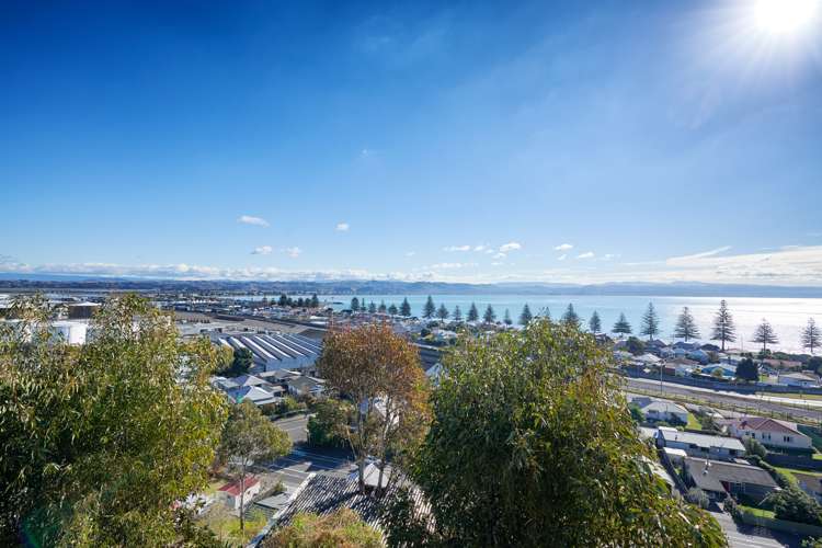 40a Roslyn Road Bluff Hill_0
