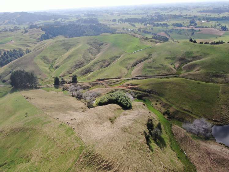 1026 Limeworks Loop Road Karamu_5