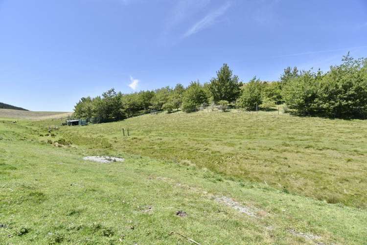 455 Mcraes Road Scargill_14