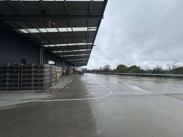 40 Jomac Place Avondale_1