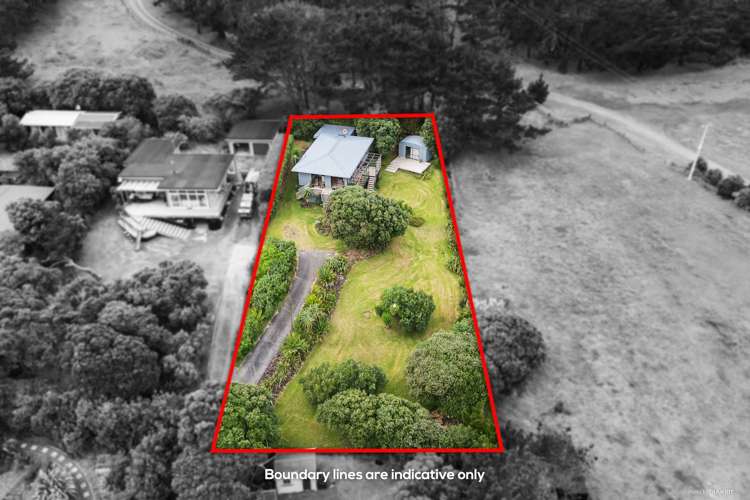 276 Bethells Road Bethells Beach_20