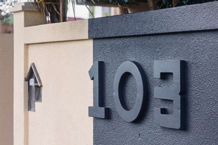 103A Saint Lukes Road Mount Albert_16