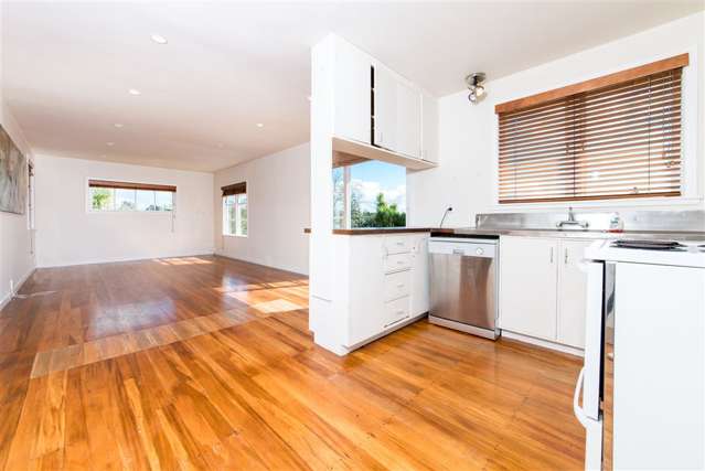 79 Penney Avenue Mount Roskill_3