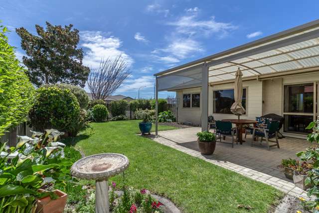 253 Guppy Road Taradale_1
