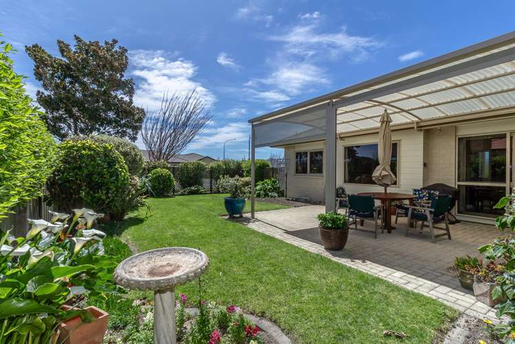 253 Guppy Road Taradale_1