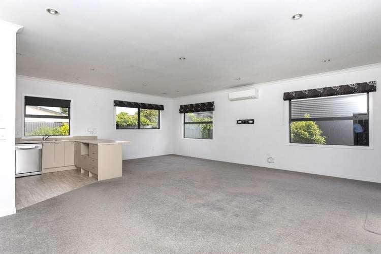 45A Trafalgar Street Dannevirke_3