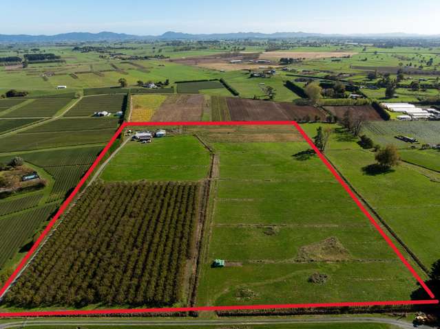 503B Gordonton Road Gordonton_2