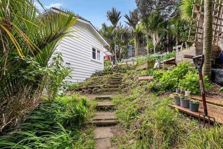 5 Sylvan Glade Piha_13