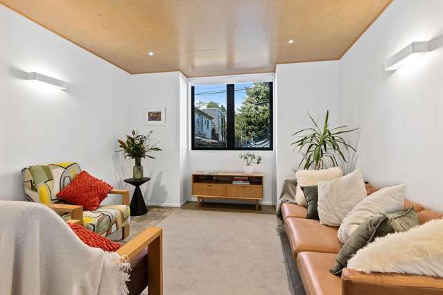 108 Aro Street Aro Valley_4