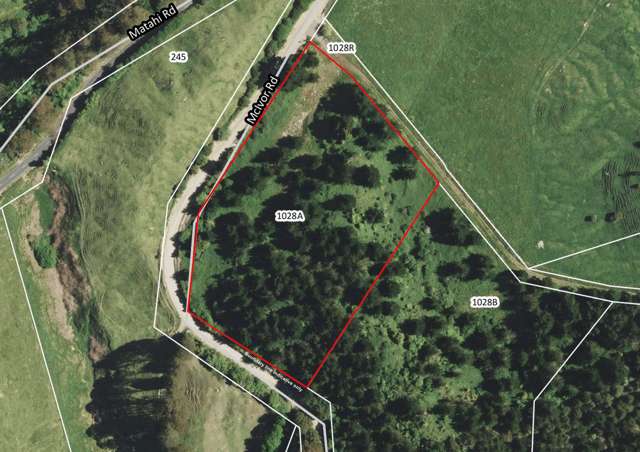 1028 A,B,C McIvor Road Rotoma_1