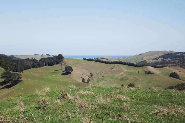 238 Waimaori Road Raglan_2