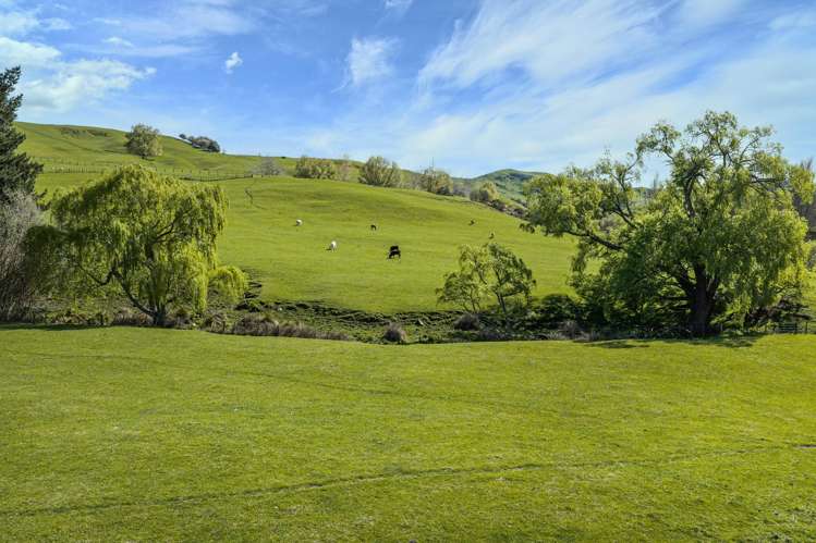 468 Waikoau Road Tutira_13