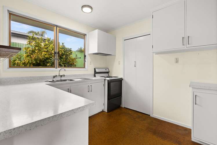 2/50A Vigor Brown Street Napier South_1