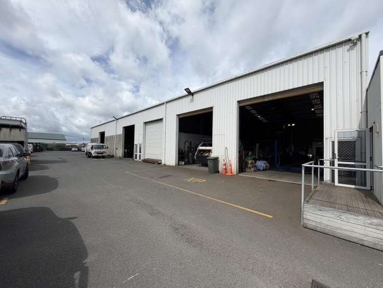 6 Macrae Avenue Mount Maunganui_12