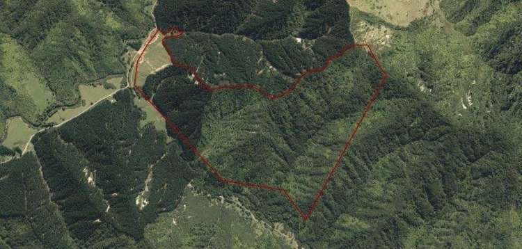 1163 Puniwhakau Road Pohokura and Surrounds_12