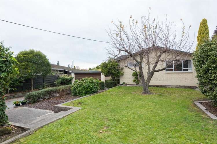 181 Redwood Street Witherlea_5