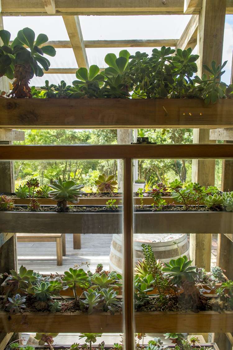 168 Orchard Road Hahei_15