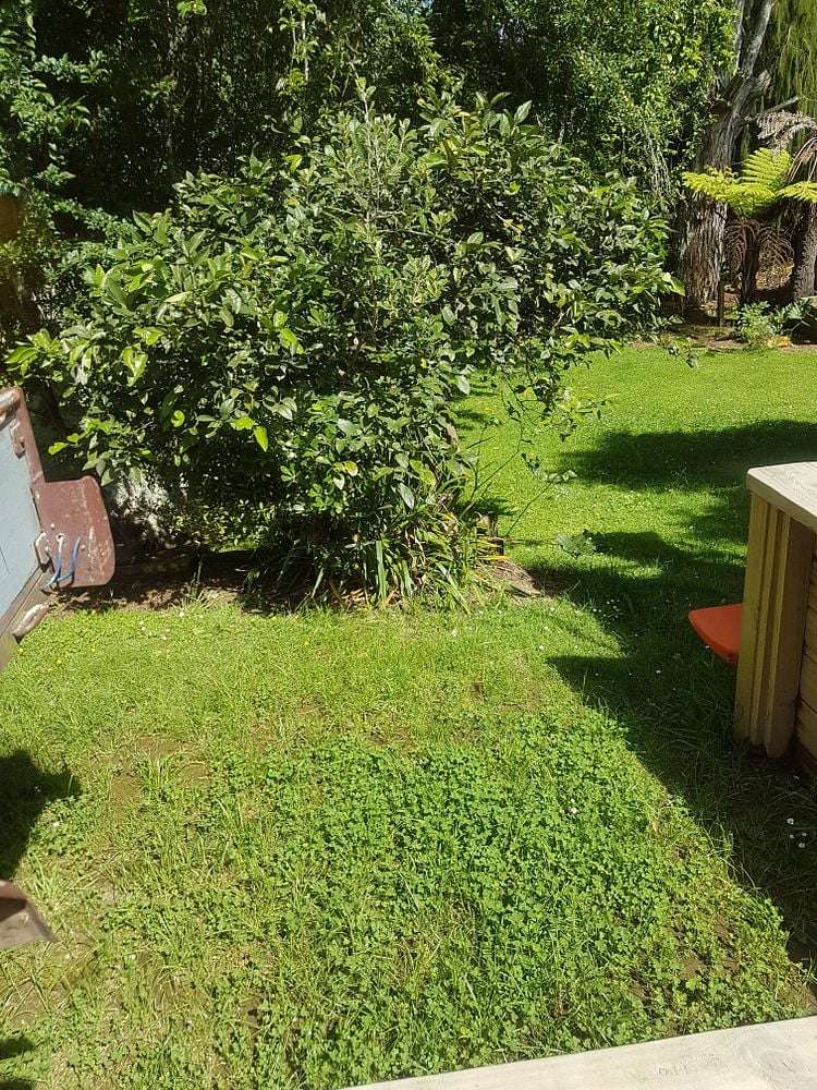 64 Oliver Street Kihikihi_5