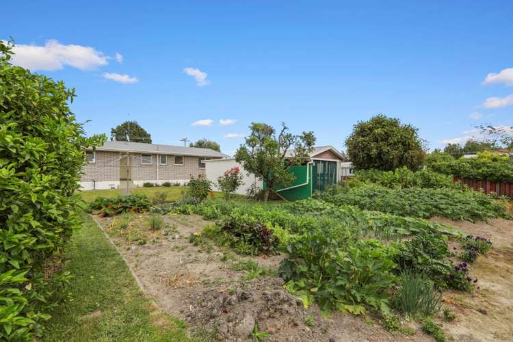 15 March Street Spring Creek_19