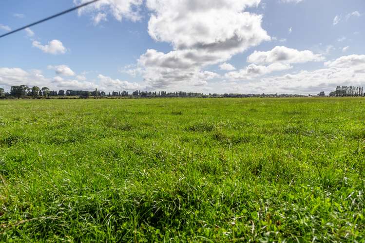 589 Coutts Island Road Coutts Island_9