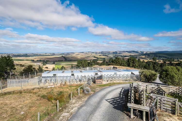 251 Fletcher Road Milton_24