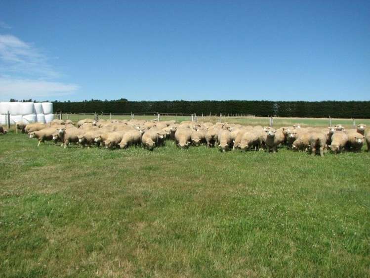 400 Ashburton Staveley Road Greenstreet_16