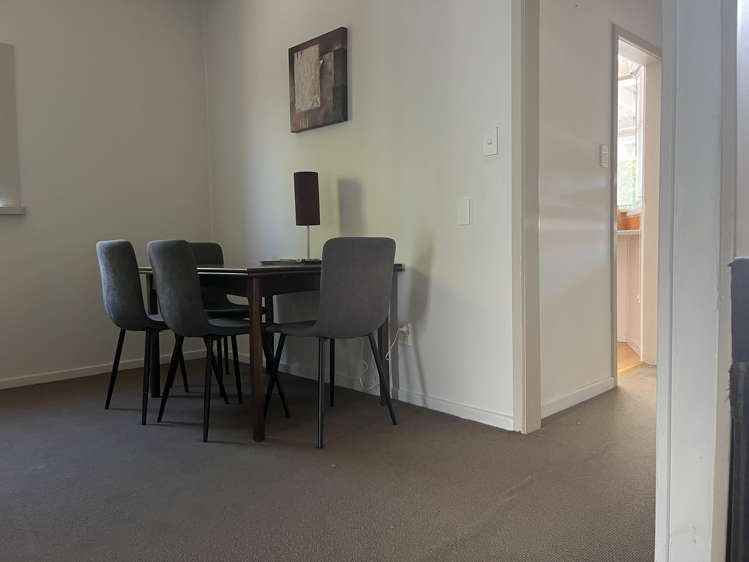 53 Forest Drive Methven_18