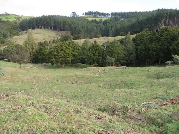 565 Bickerstaffe Road Maungaturoto_11