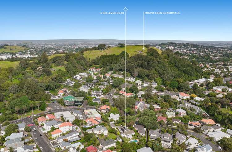 5 Bellevue Road Mount Eden_30