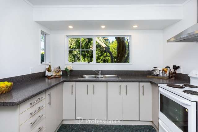 76 Gemstone Drive Birchville_4