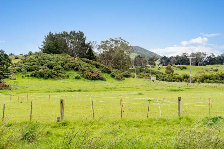 592 Brighton Road Westwood_25