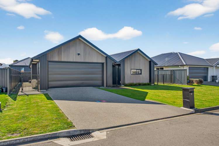 6 Nathan Lane Masterton_12