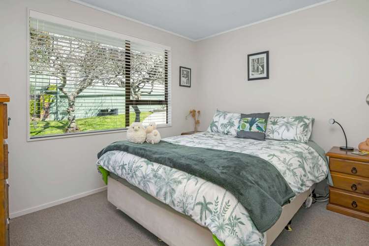 3 Webster Place Picton_10