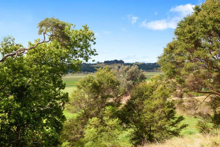 Looney Road Opotiki and Surrounds_5