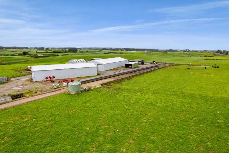 226 Ngarongo Road Normanby_23