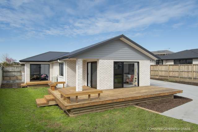 169d Park Road Katikati_1