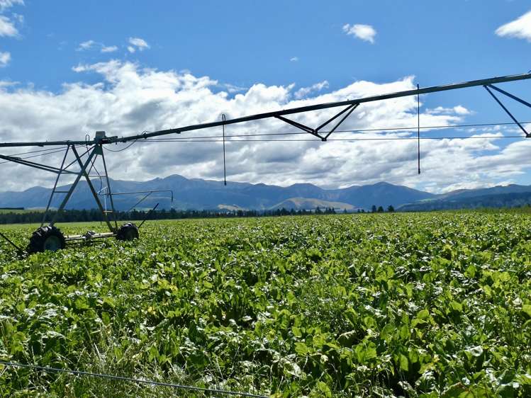 400 Keens Road Springfield_6