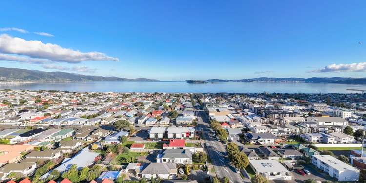 2/46 Cuba Street Petone_45